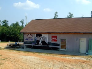 mural on concessions building