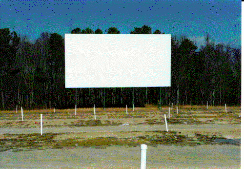 screen and field