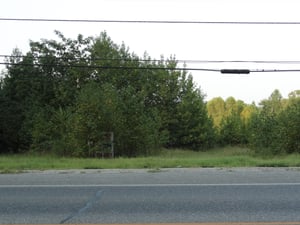 former entrance, all overgrown now and for sale