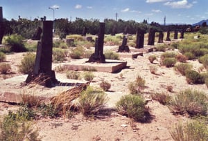 Wooden stumps of the screen tower