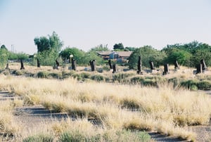 Looking at the front of where the screen would be at 22nd St drive-in.