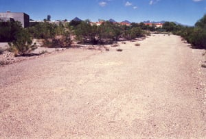 Road leading into the north section of the Drive-In