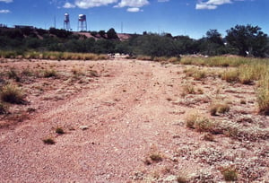 The field below the freeway. The traffic on the ramp in the background travels on I-10