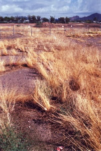 Approximate area where the marquee once stood