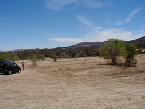 Looking towards screen from left rear of field.