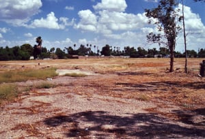 Small part of the field east of the bent road. Remains of the screen tower are on the left