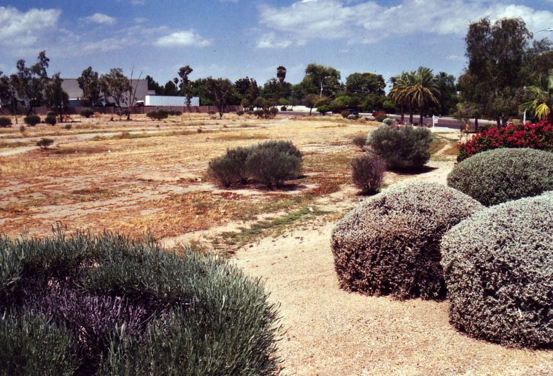 Looking down from the road (Jesse Owens Parkway) onto the larger part of the field