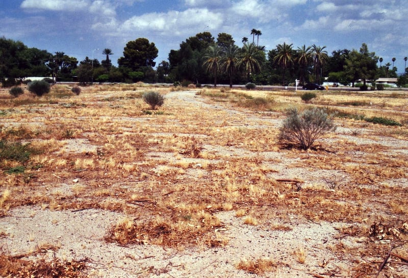 Deserted field