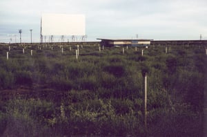 In 1994, the field has been a lot more overgrown than 4 years later