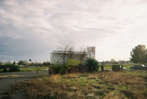 Marquee, overgrown and forgotten.