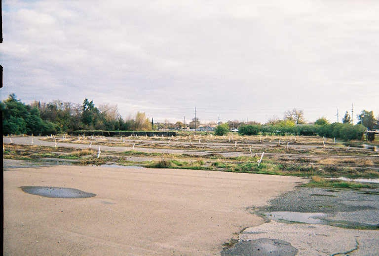 Former Screen 3 lot. Immediately behind the trees in the left side of the photo are homes.