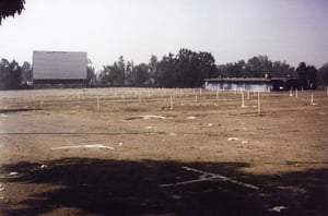 catbela004.jpg