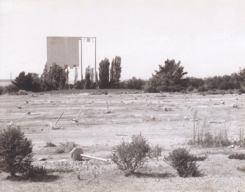 Drive-In grounds with screen showing it's age and neglect having been abandoned. I took this as part of a photo class at Chabot College in the late 80's.