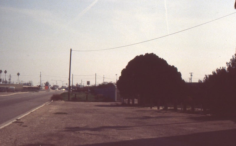 Another under exposed shot.  This time of the exit drive way.