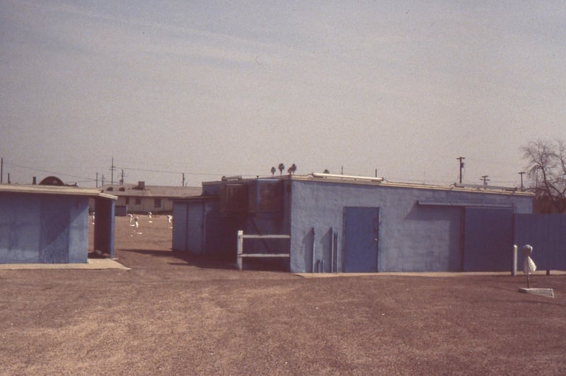 Another shot of the snack bar and projection booth.