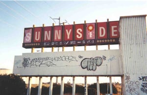 catsunn049.jpg