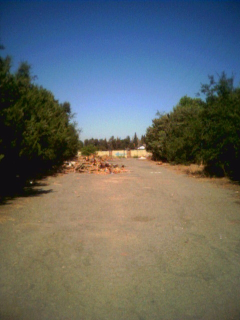 entrance road