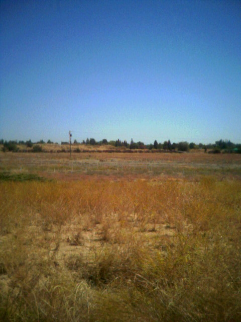 View of field from former screentower