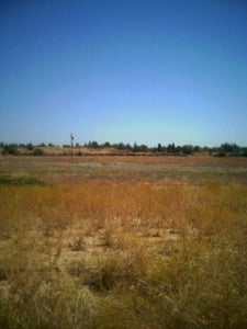 View of field from former screentower