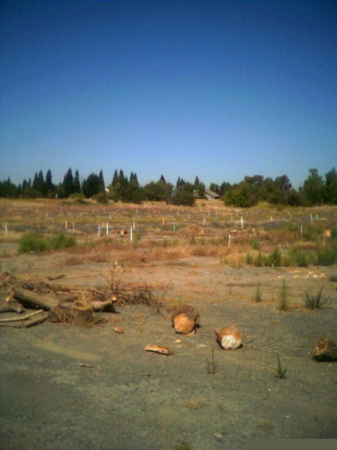 field