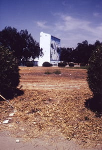 Shot of screen tower thru the bushes