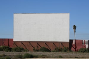 Screen and Palm tree