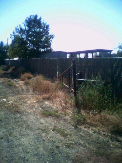 Original fence and entrance road