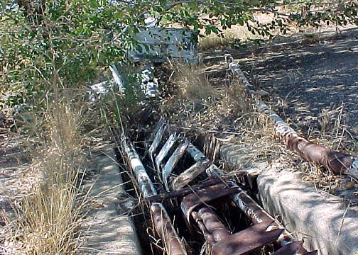 Detail of tire guard surrounded by overgrowth