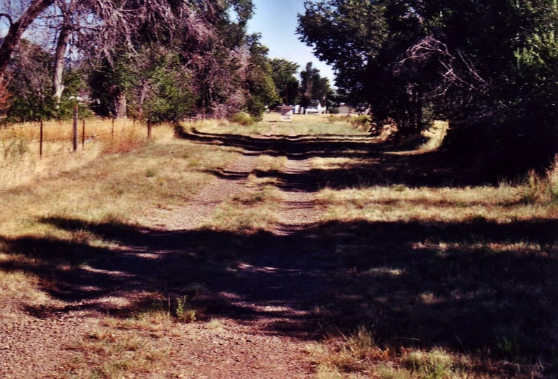 Entrance road hasn`t seen a car for a long time