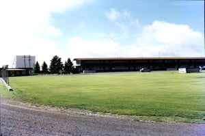 screen and field