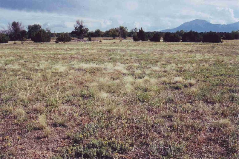 The very friendly owner of the property let me inspect everything and take pictures which was the highlight of the day