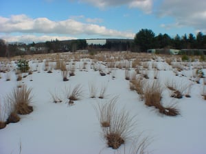 Photo of East Screen with concession stand on left and projection booth in the center.