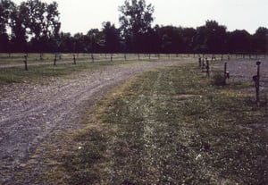 Field