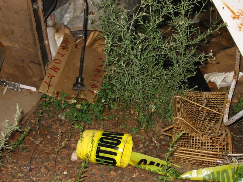 In the photo, you can see some unused food carriers in the trash pile..