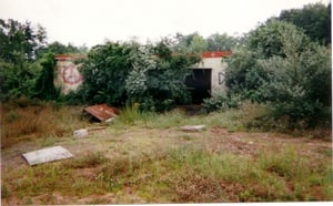 Overgrown snackbar/projection booth