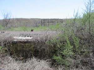 A view of the screen & concession stand from behind & above the concession stand.  The parking area is VERY overgrown with trees.