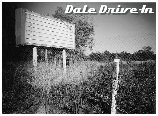 This is the remaining marquee from the theater. The land was bought by Walmart I heard but there were environmental complications in land usage due to asbestos so it is now sitting vacant.