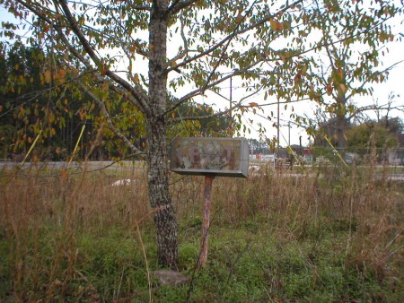 Badly faded lighted EXIT sign on end of main exit driveway at edge of U.S. 129 South.