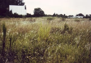 On the grassy field only the screen remains