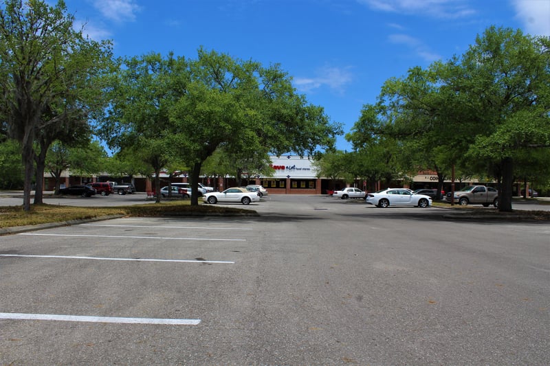 Food lion is closed save a lot is now in its place .