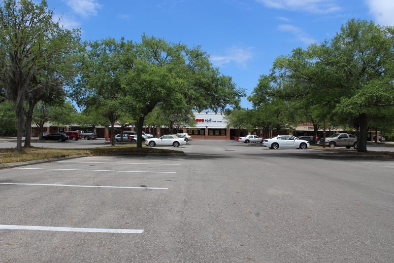 Food lion is closed save a lot is now in its place .