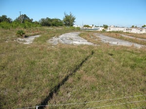 I went back there yesterday and got up a little higher to take the two pictures. There were 8 rows to park your car to see the movie. The screen would have been in the SE corner.