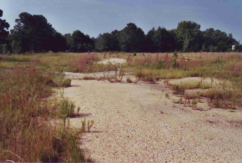 Field with faint ramps