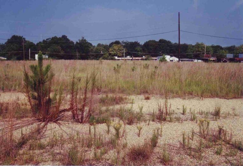 View from the back of the field