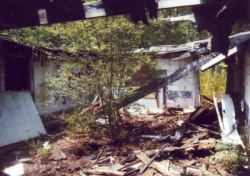 The condition of the snack bar interior has worsened and a bush has grown