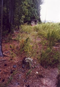 Former entrance road with ticket booth in the distance