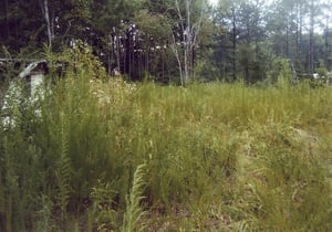 Field as it appeared of July 2010
