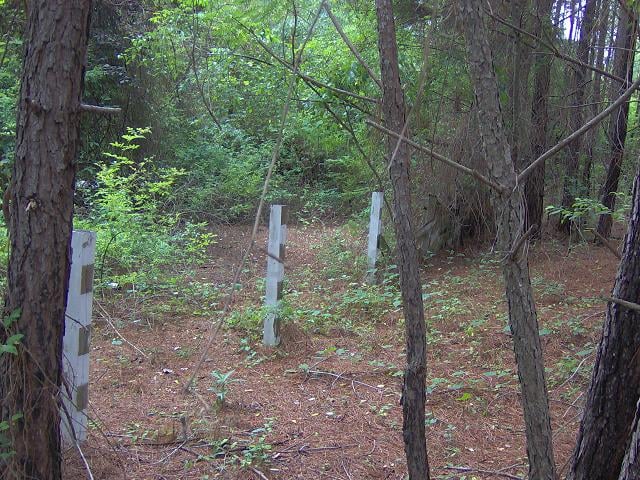 If you look between the posts, you can see what looks like a road.  Possibly the exit.