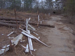 This area was previously covered with trees.  They have all been cleared so now you can see the entrance to the DI. If you look in the distance you can see the ticket booth.