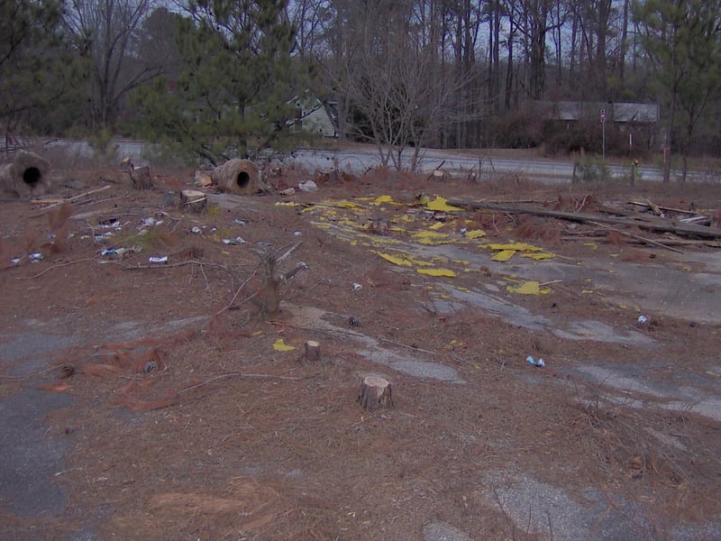 All that is left of the marquee.  Note the 2 large concrete supports to the left.